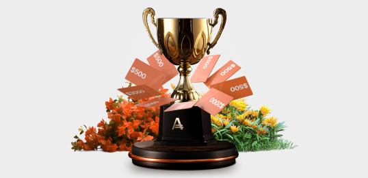 partner contest for promo