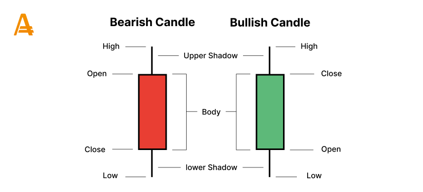 bulish candle bearish candle en